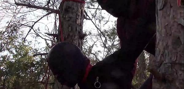  Tied up to a tree outdoor on sexy clothes, wearing pantyhose and high ankle boots heels, rough fuck